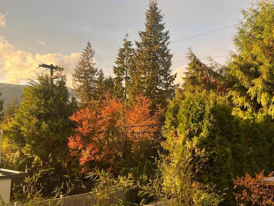'Canyon Heights' Retreat North Vancouver Extérieur photo