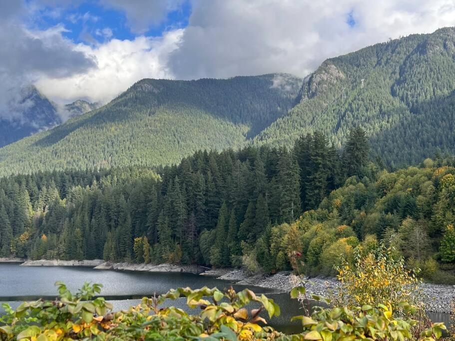'Canyon Heights' Retreat North Vancouver Extérieur photo